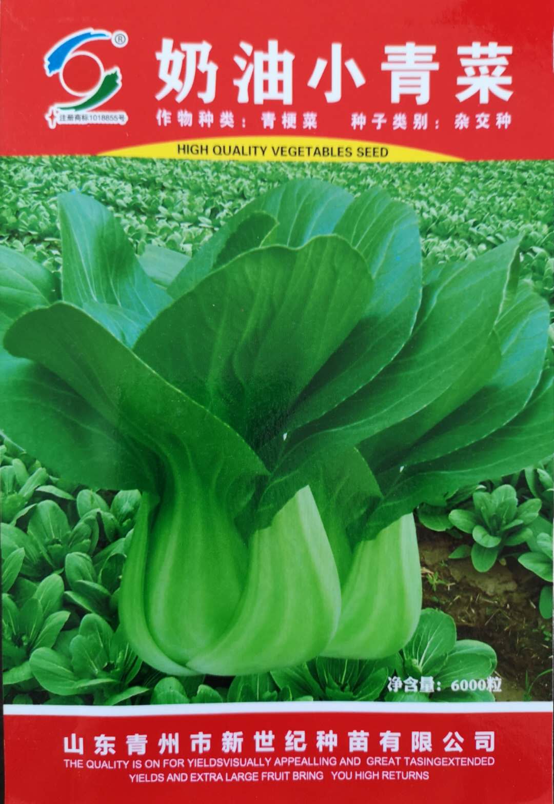 Cream Green Pakchoi——Green Pakchoi